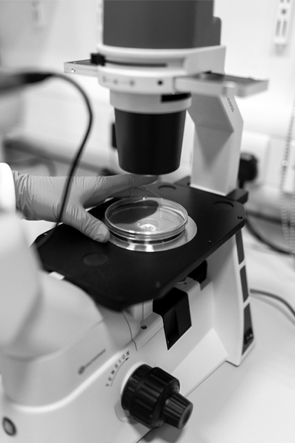 Original laboratory microscope image